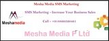 bulk SMS Service in Delhi, Mesha Media Pvt Ltd, Noida