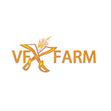 VFXFARM, NY