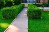  Glendale Lawn Pros 126 N Brand Blvd, 