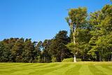 Glendale Lawn Pros, Glendale