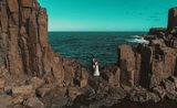 Dion Cario Films, Tarrawanna