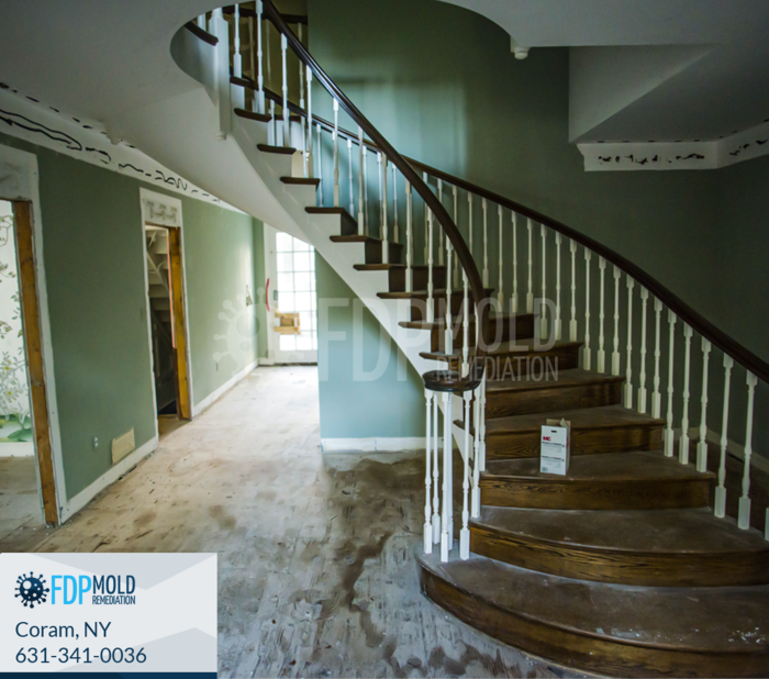  Profile Photos of FDP Mold Remediation 1 Charles Pond Dr, - Photo 20 of 20