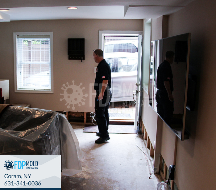  Profile Photos of FDP Mold Remediation 1 Charles Pond Dr, - Photo 19 of 20