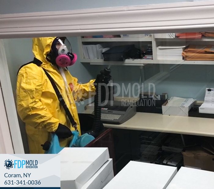  Profile Photos of FDP Mold Remediation 1 Charles Pond Dr, - Photo 16 of 20