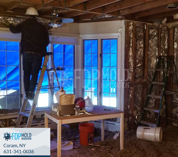  Profile Photos of FDP Mold Remediation 1 Charles Pond Dr, - Photo 14 of 20