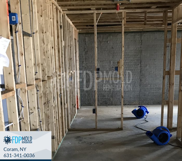  Profile Photos of FDP Mold Remediation 1 Charles Pond Dr, - Photo 8 of 20
