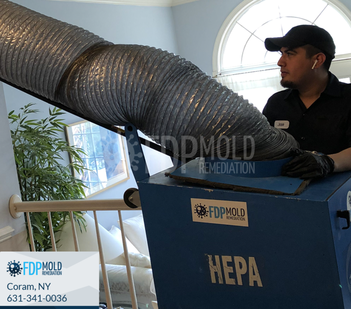  Profile Photos of FDP Mold Remediation 1 Charles Pond Dr, - Photo 7 of 20