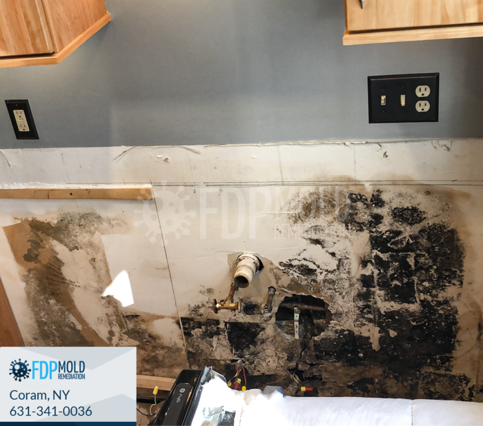  Profile Photos of FDP Mold Remediation 1 Charles Pond Dr, - Photo 3 of 20