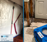  FDP Mold Remediation 1 Charles Pond Dr, 