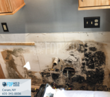  FDP Mold Remediation 1 Charles Pond Dr, 
