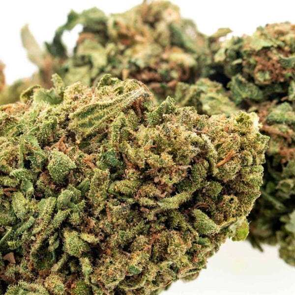  Profile Photos of Premium Hemp Flower EU, Buy hemp flowers from European 30 Gordon Terrace - Photo 1 of 7