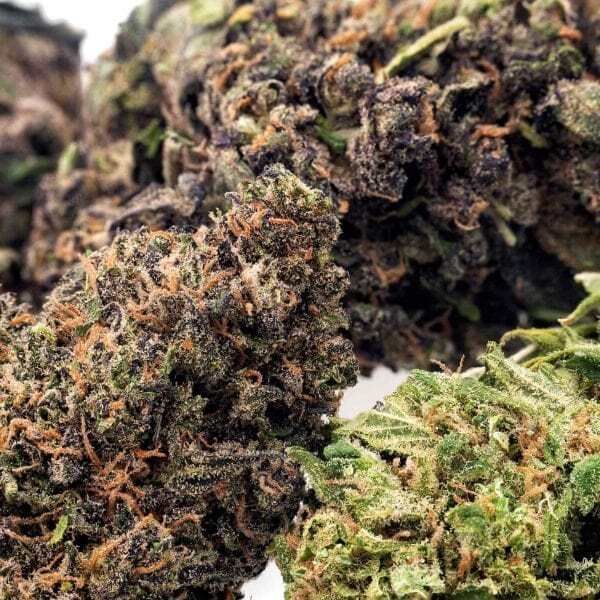  Profile Photos of Premium Hemp Flower EU, Buy hemp flowers from European 30 Gordon Terrace - Photo 3 of 7