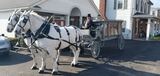 Robert S. Nester Funeral Home & Cremation Services, Inc., New Ringgold