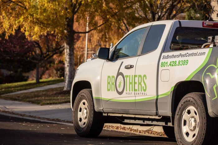  New Album of Six Brothers Pest Control 792 Lizzie Ln - Photo 6 of 9