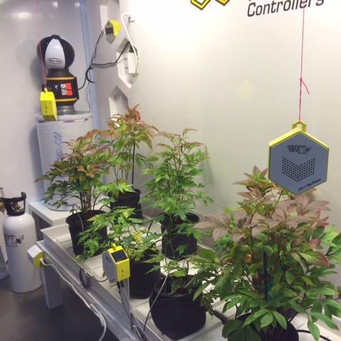  Profile Photos of Smart Bee Controllers 3460 Marron Road, Suite 103-112 - Photo 2 of 6