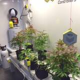 Smart Bee Controllers 3460 Marron Road, Suite 103-112 