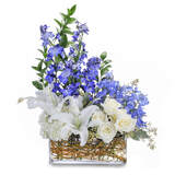Drayerâ€™s Florist, Middle River