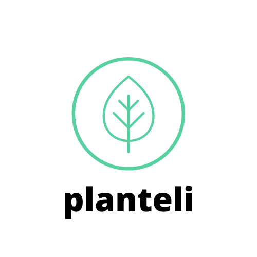  Profile Photos of Planteli 85 Chattanooga St - Photo 1 of 1