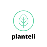 Planteli, San Francisco