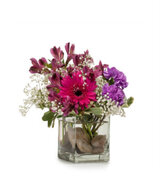 McKenzie's Flowers & Greenhouse, Weston