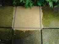  Profile Photos of x-treme clean 13 hillbourne road - Photo 5 of 10