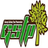 Stockton Tree Service Experts, Stockton
