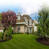 Stockton Tree Service Experts, Stockton