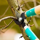 Stockton Tree Service Experts, Stockton