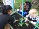 Secret Garden 4 Kids Childcare Albany, Albany