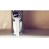Master Rooters Plumbing, Denver