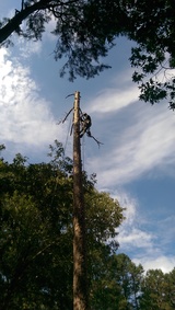 Triangle ServicePros, Raleigh