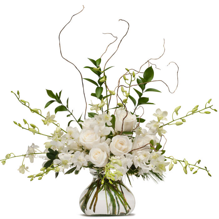  New Album of Baltimoreâ€™s Florist 1206 Ridgely St - Photo 3 of 3