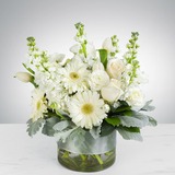  Baltimoreâ€™s Florist 1206 Ridgely St 