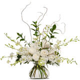  Baltimoreâ€™s Florist 1206 Ridgely St 