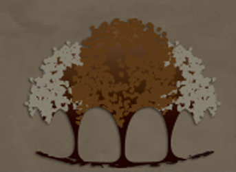  Profile Photos of Denver Restorative Dentistry 8774 Yates Drive #340 - Photo 4 of 4