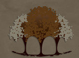 Denver Restorative Dentistry, Westminster