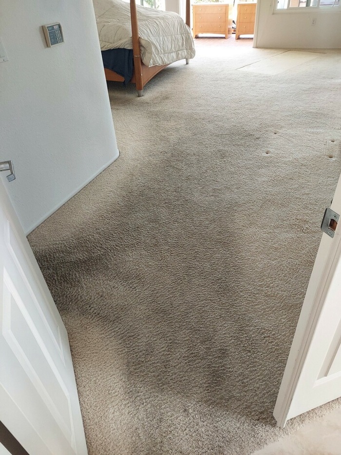  New Album of Silver Olas Carpet Tile Flood Cleaning 1278 Longfellow Road - Photo 20 of 24