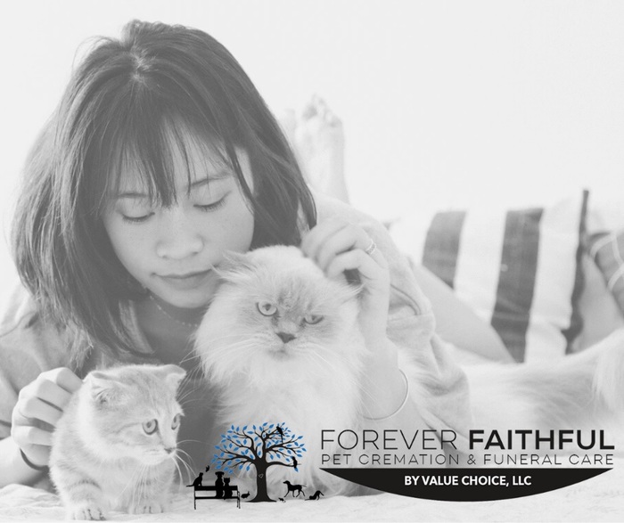  Profile Photos of Forever Faithful Pet Cremation & Funeral Care by Value Choice, LLC 1091 Rockville Pike - Photo 8 of 16