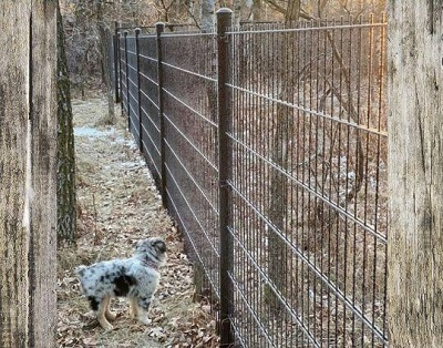  New Album of Wallace + Wallace Fences 90 Lowson Cr - Photo 3 of 3