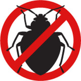 PestBusters, Bellevue