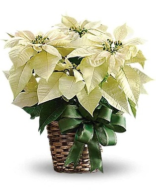  New Album of The Floral Boutique 850 N Woodland Blvd dept a - Photo 3 of 3