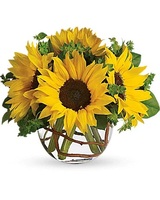 St. George Florist, Clifton
