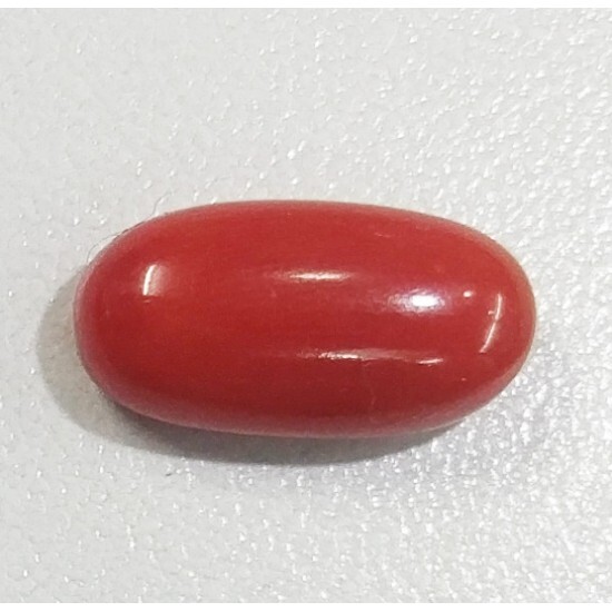  Natural Red coral of Shine Stones, Buy Online Natural Certified Gemstones 1279, 3rd Floor, Mahadev Johri Street, Gopal ji Ka Rasta, Johri Bazar, Jaipur-302003, India - Photo 10 of 12