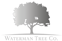 Profile Photos of Waterman Tree Co 26 Passingham Avenue - Photo 1 of 1