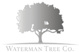 Waterman Tree Co, Hitchin
