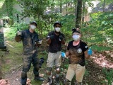 Freedom Pest Services, York
