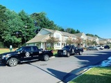 Freedom Pest Services, York