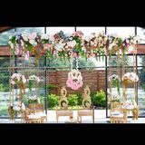  Doli Decor 5359 Timberlea Blvd unit 35 