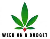  Weed On a Budget 108-90 Central Ave 