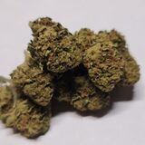 Weed On a Budget 108-90 Central Ave 
